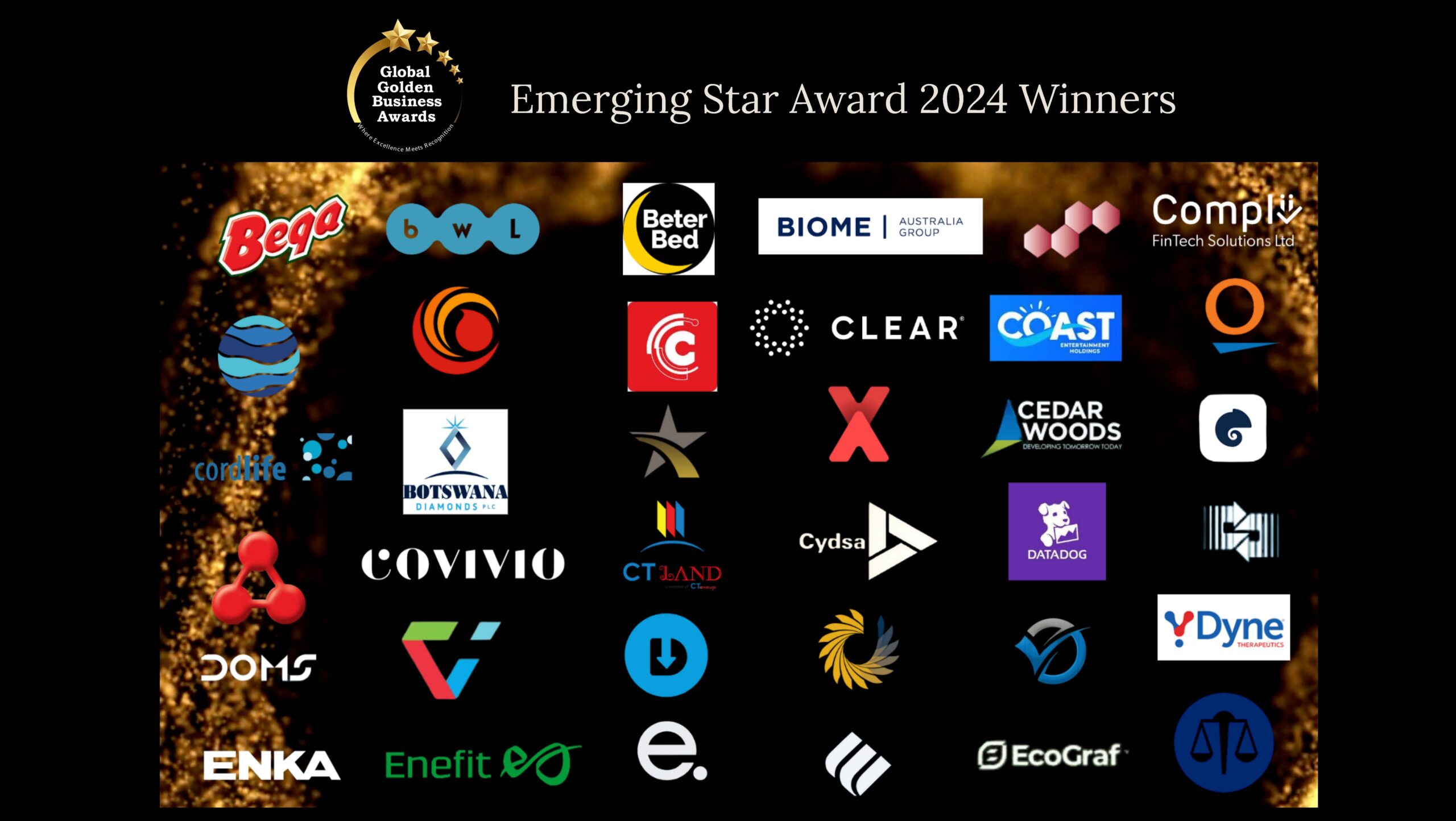 emerging-star-awards_Page_3-scaled.jpg
