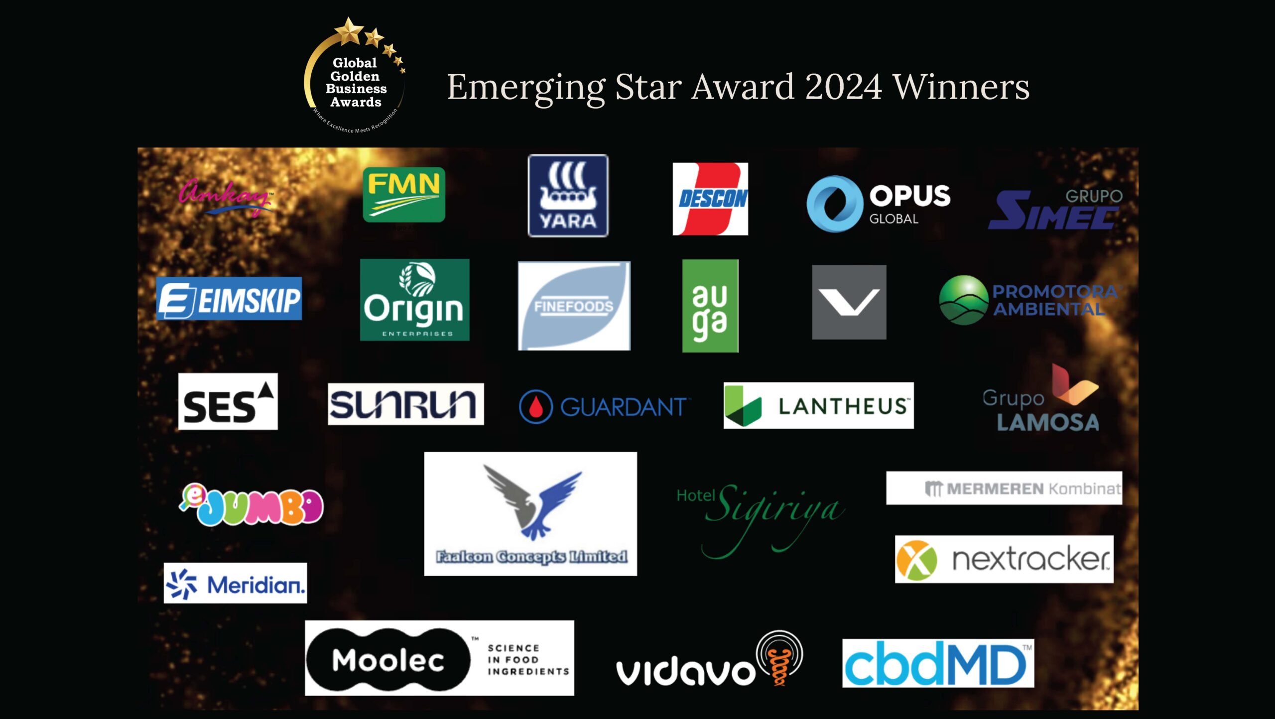 emerging-star-awards_Page_7-scaled.jpg